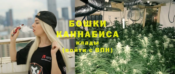 гидропоника Пересвет