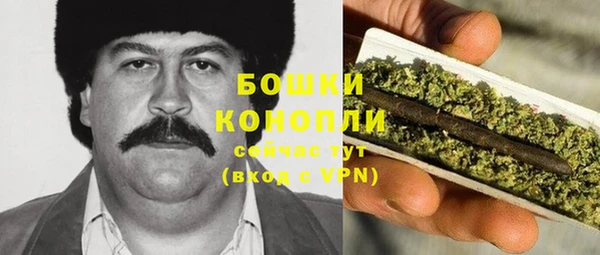 гидропоника Пересвет