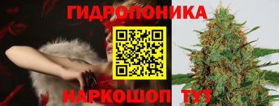 ПСИЛОЦИБИНОВЫЕ ГРИБЫ Берёзовский