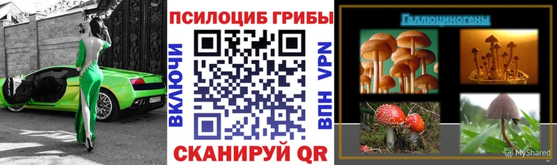 Галлюциногенные грибы мицелий  Волжск 