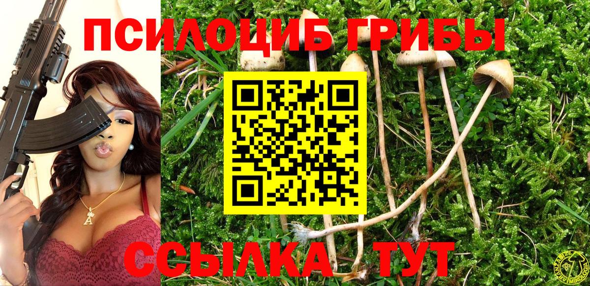 Галлюциногенные грибы MAGIC MUSHROOMS  Вход с VPN  Волжск 