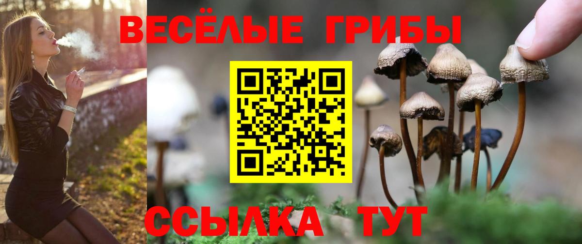 Галлюциногенные грибы ЛСД Волжск