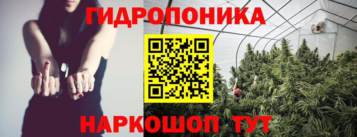 Каннабис план  Волжск  Бошки Шишки MAZAR 